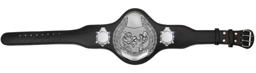 THAI BOXING CHAMPIONSHIP BELT-PLT301/S/TBOS-4 COLOURS